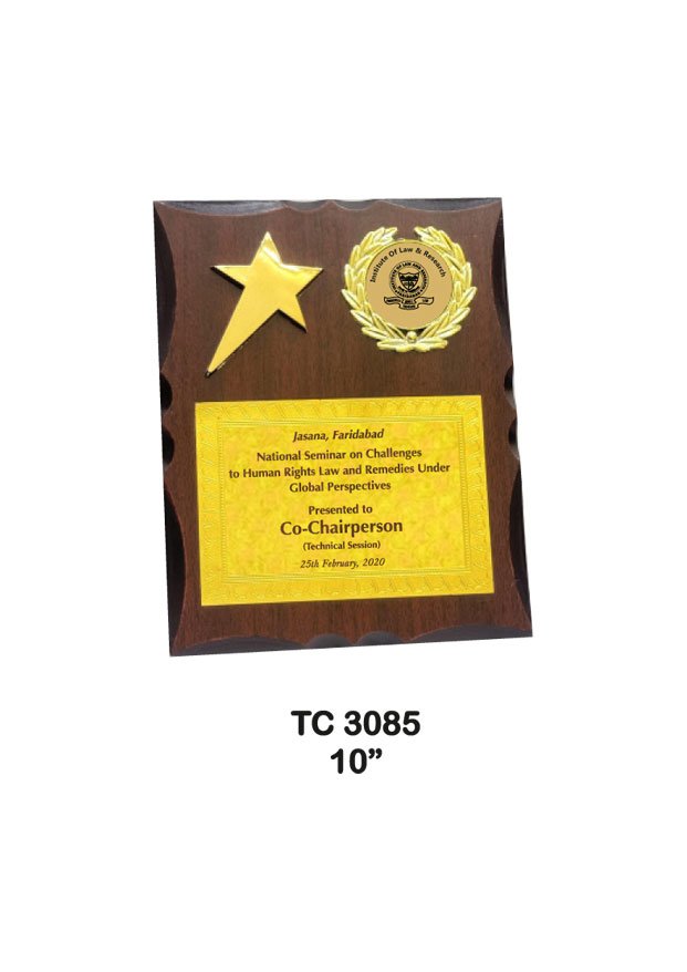 Plastic Frame Trophy supplier in Haryana