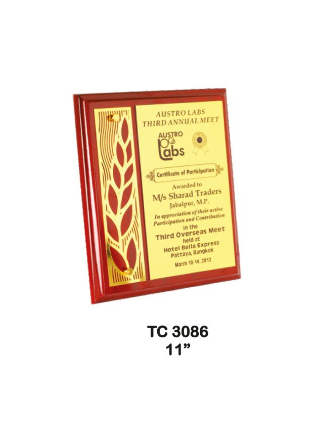 Plastic Frame Trophy supplier in Haryana