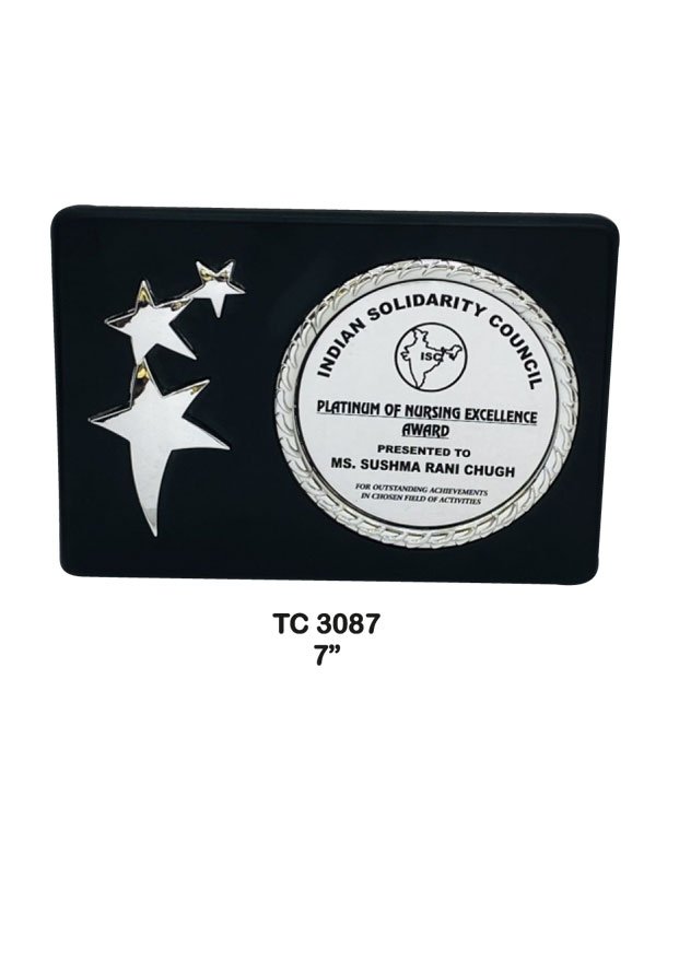 Plastic Frame Trophy supplier in Haryana