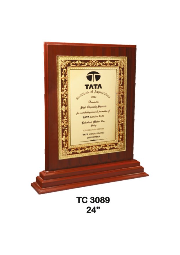 Plastic Frame Trophy supplier in Haryana