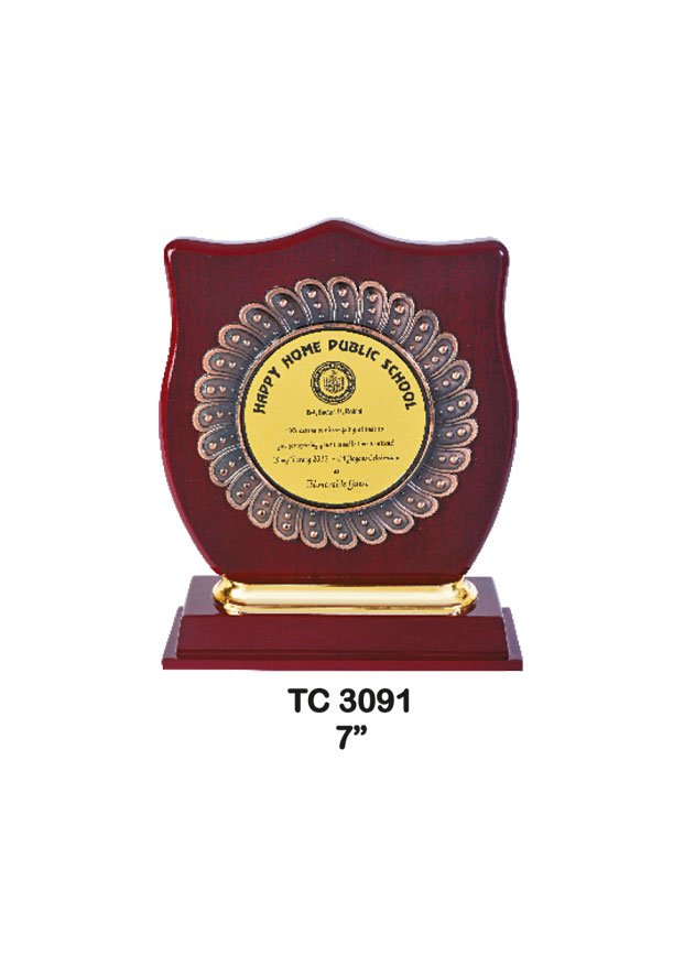 Plastic Frame Trophy supplier in Prayagraj