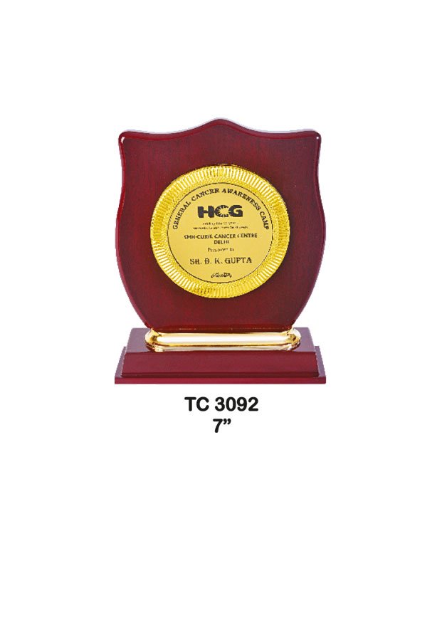 Plastic Frame Trophy supplier in Prayagraj