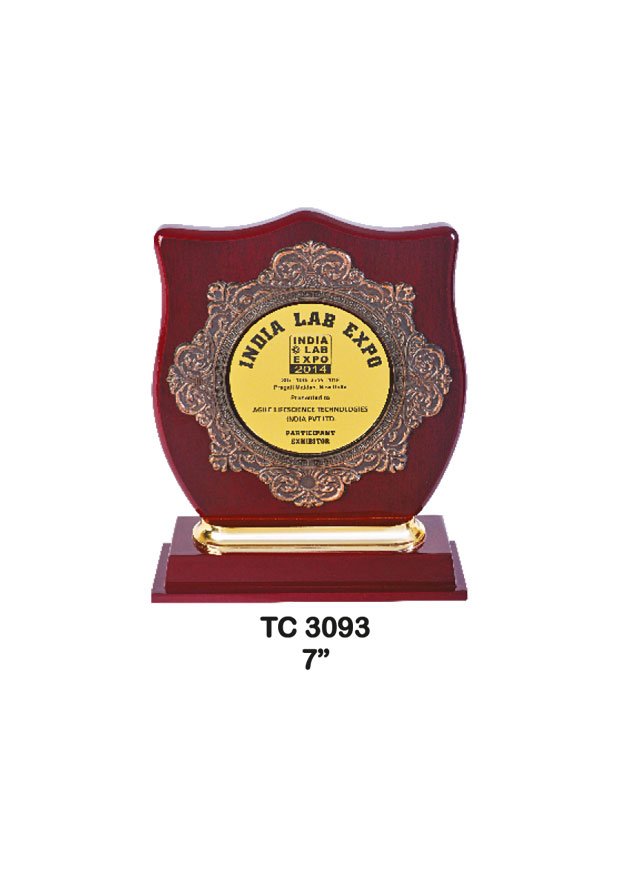 Plastic Frame Trophy supplier in Prayagraj