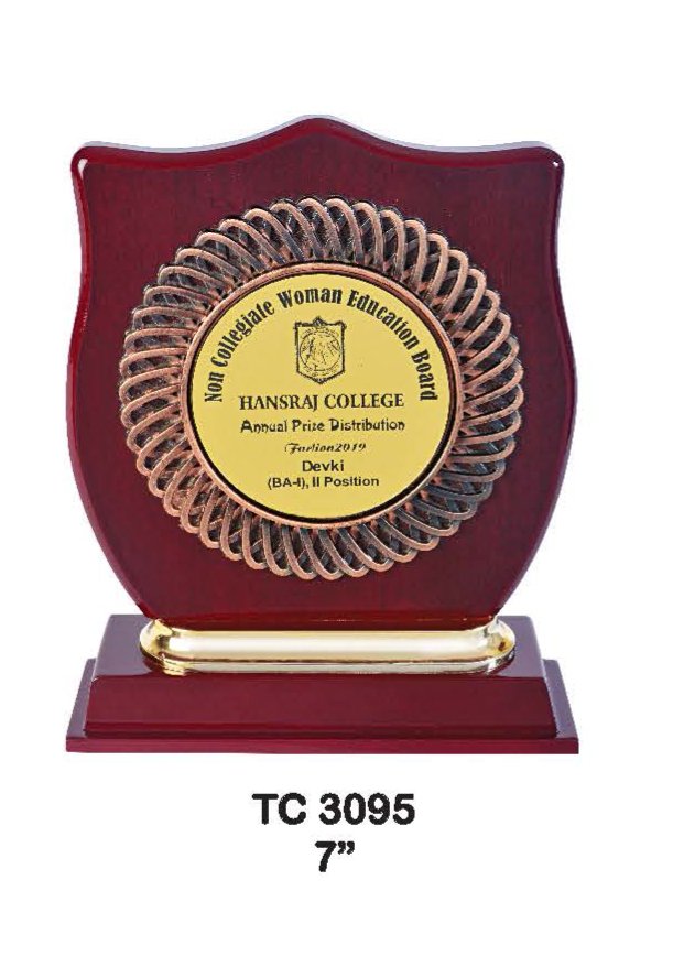 Plastic Frame Trophy supplier in Uttrakhand