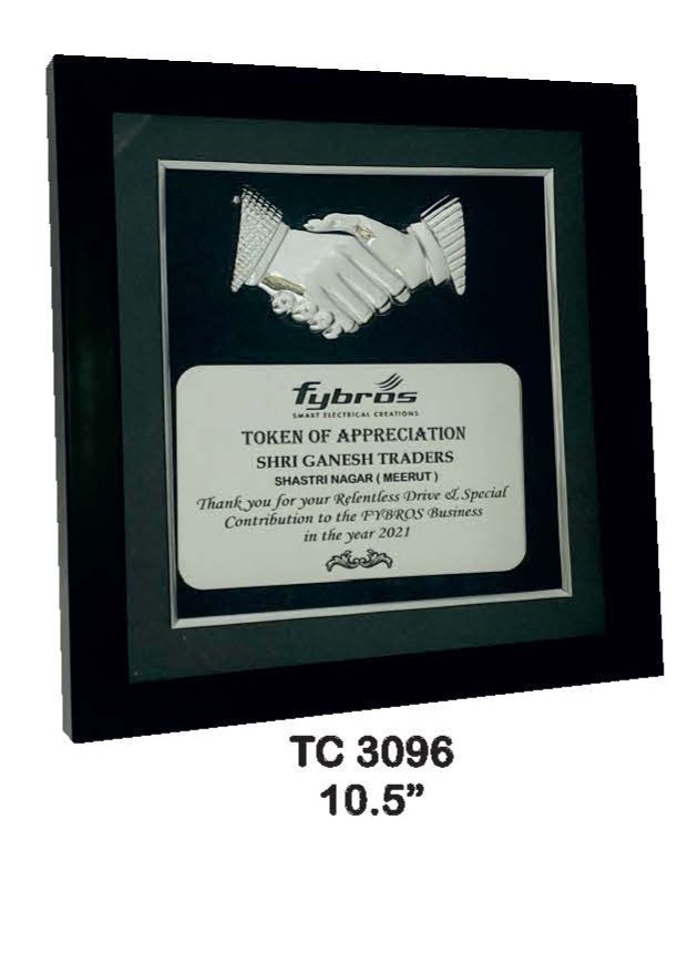 Plastic Frame Trophy supplier in Uttrakhand