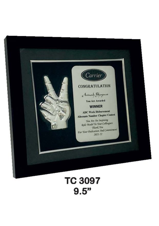 Plastic Frame Trophy supplier in Uttrakhand