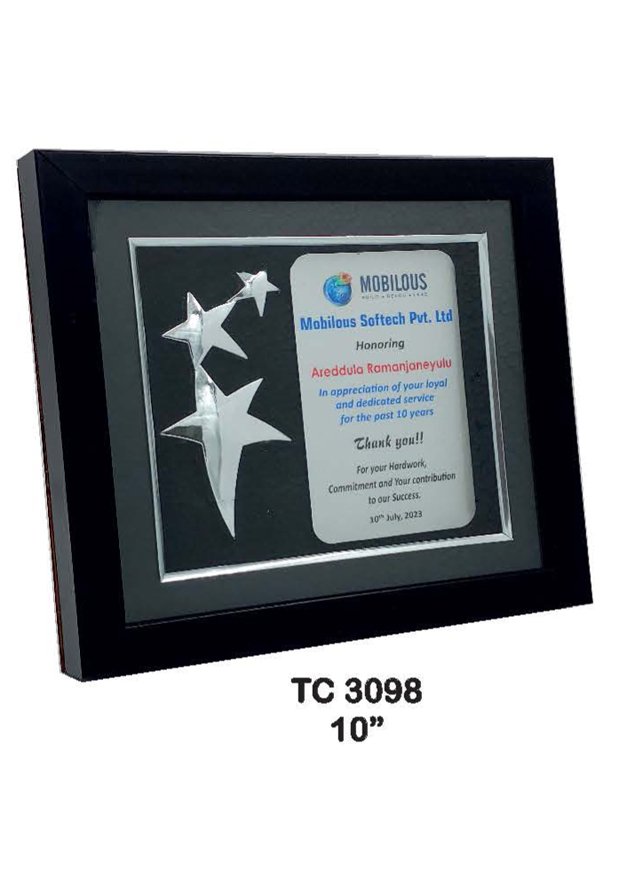 Plastic Frame Trophy Supplier in Odisha