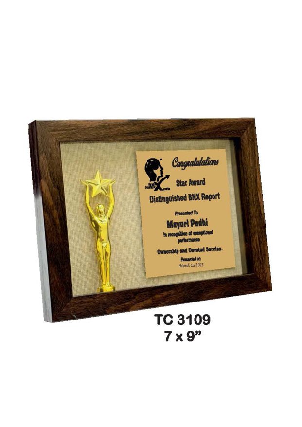 Plastic Frame Trophy Manufacturer in Ghaziabad 