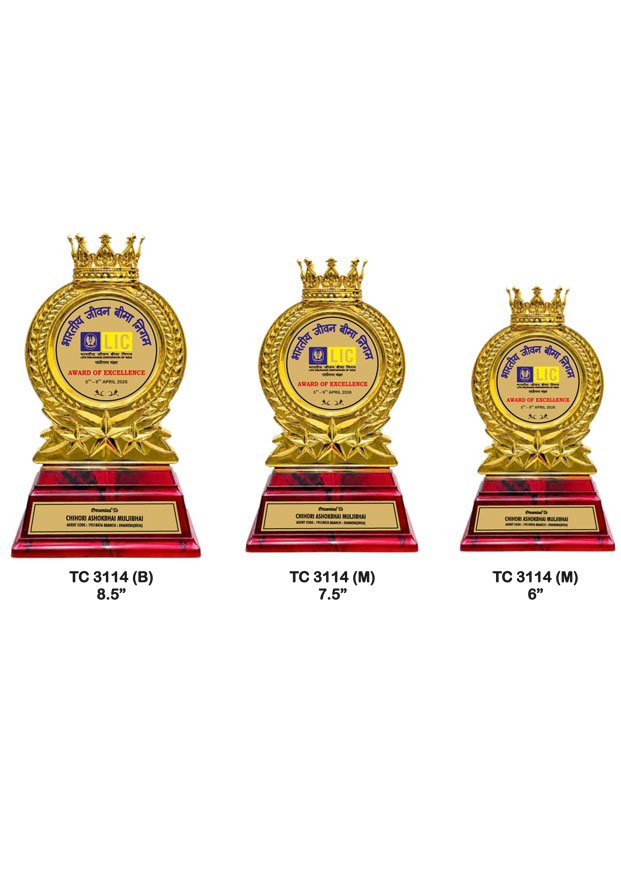 Plastic Frame Trophy Manufacturer in Delhi