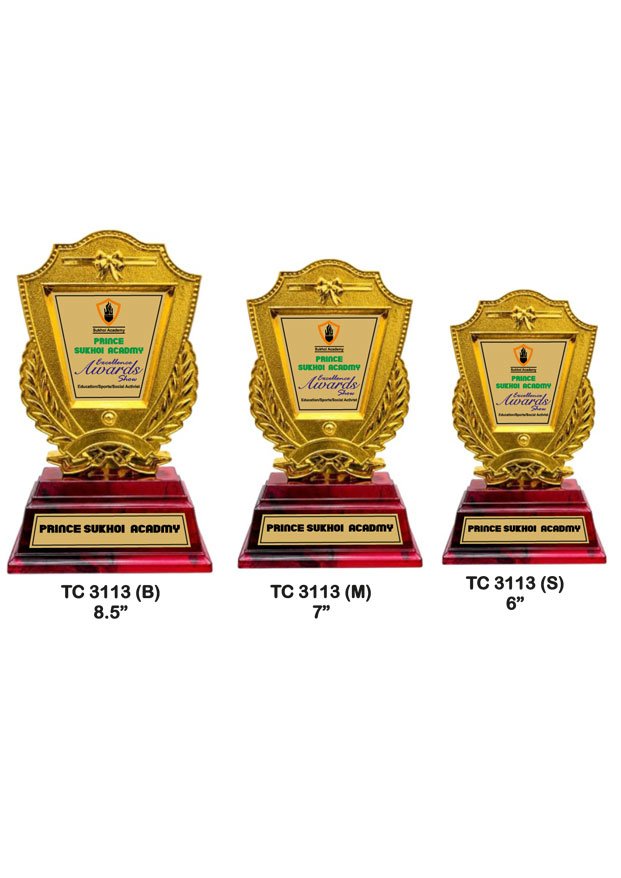Plastic Frame Trophy Manufacturer in Delhi