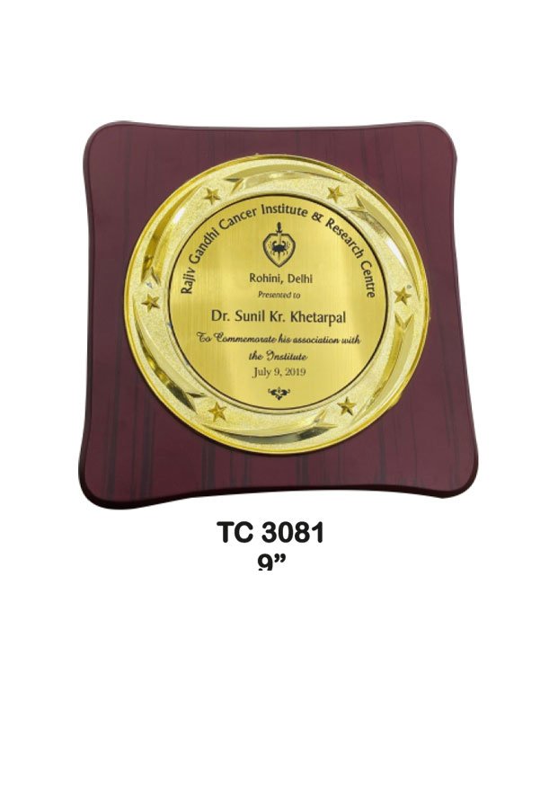 Plastic Frame Trophy supplier in Punjab