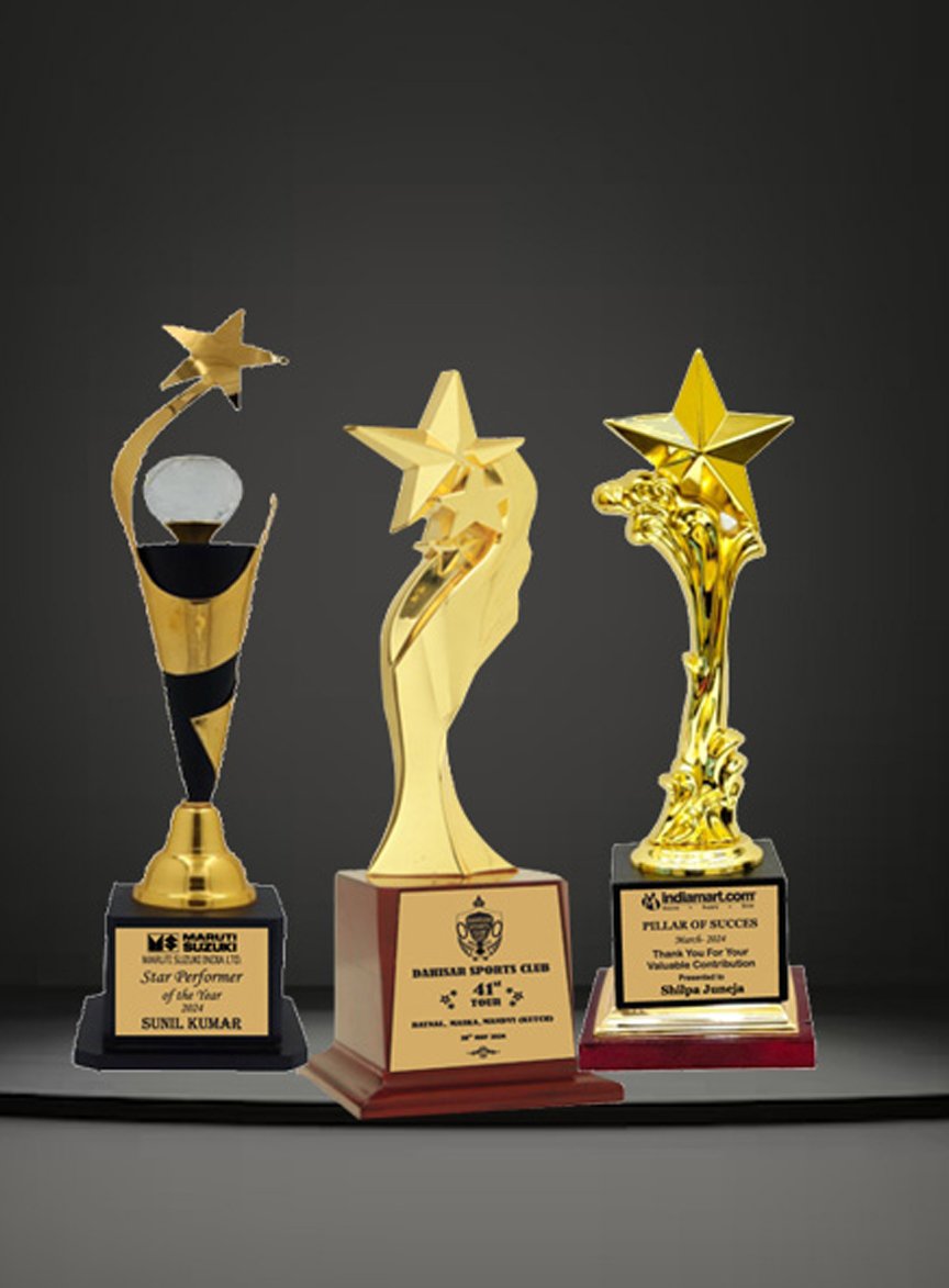 Star trophy Shop in Delhi
