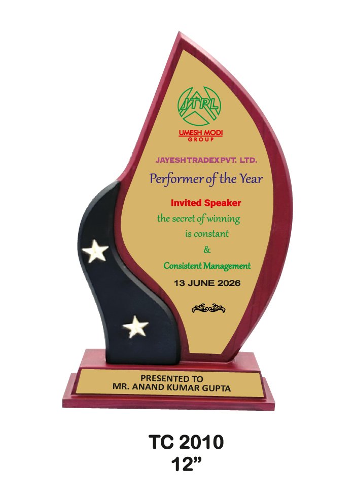 Wooden Trophy Trophy in Delhi