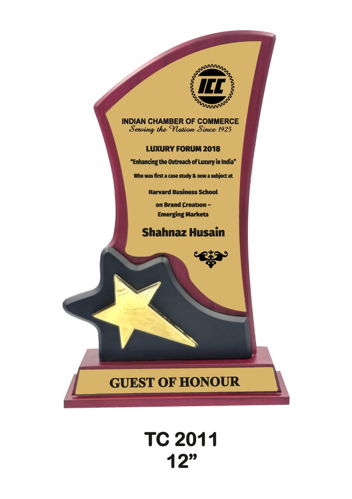 Wooden Trophy Trophy in Delhi