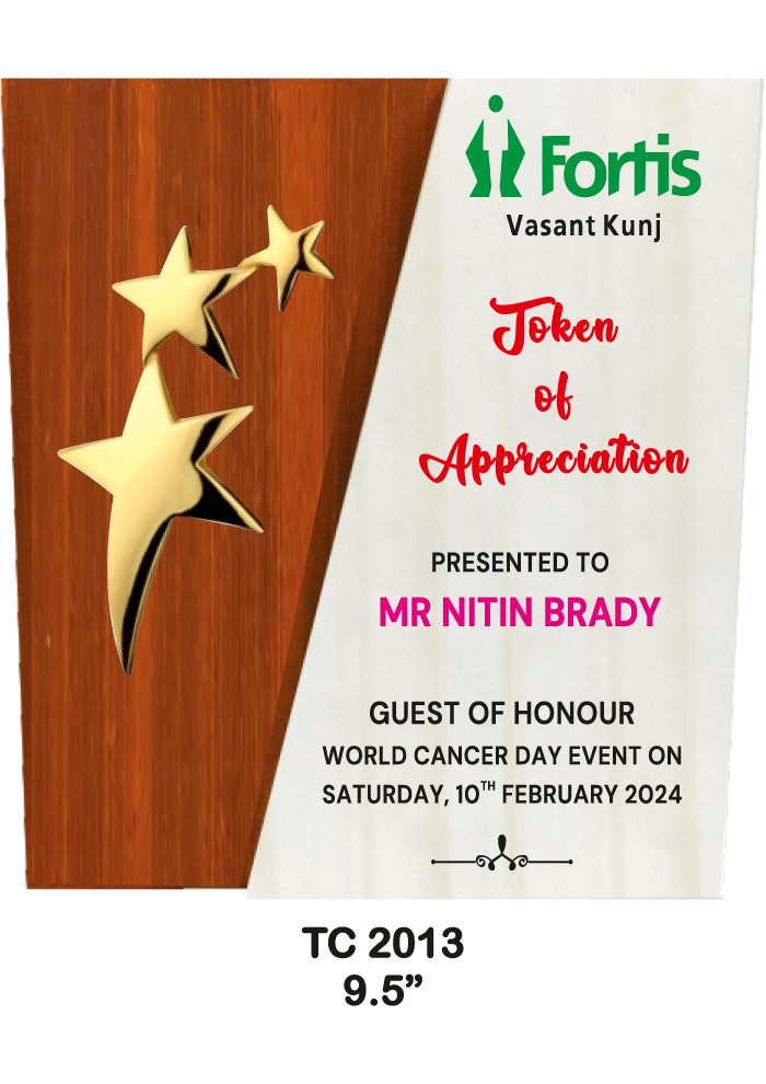 Wooden Trophy Trophy in Delhi