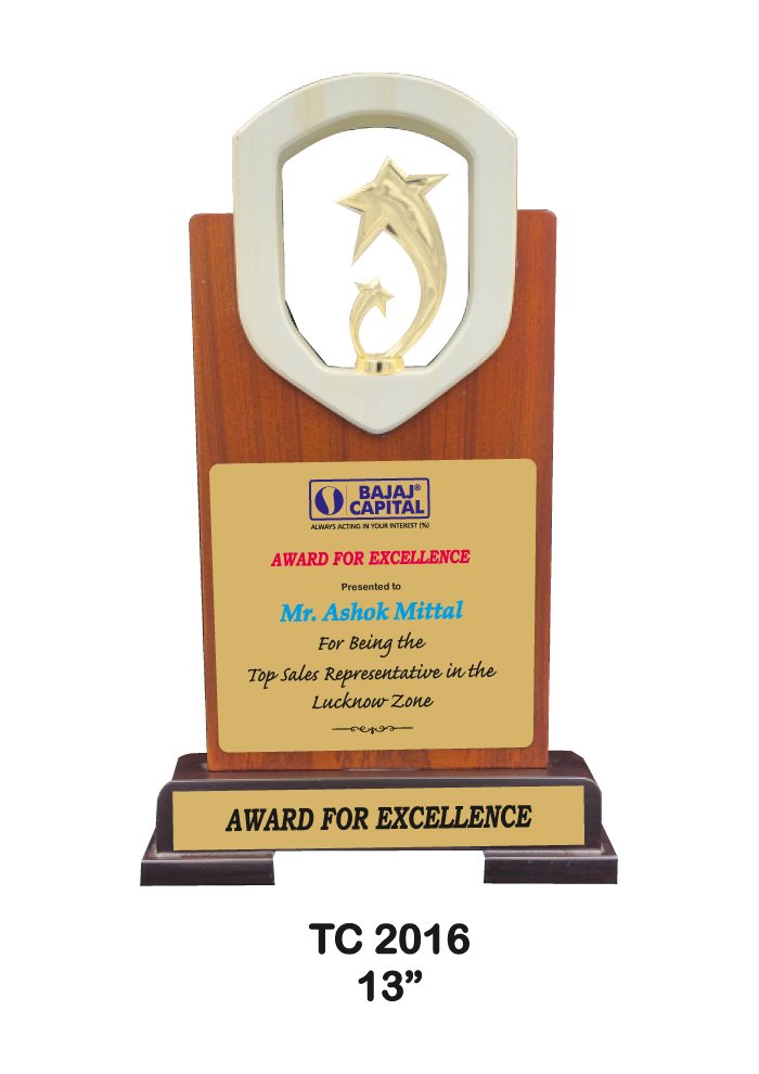 Wooden Trophy Trophy in Delhi