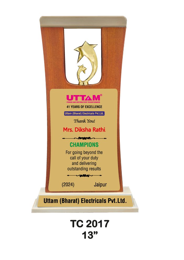Wooden Trophy Trophy in Delhi