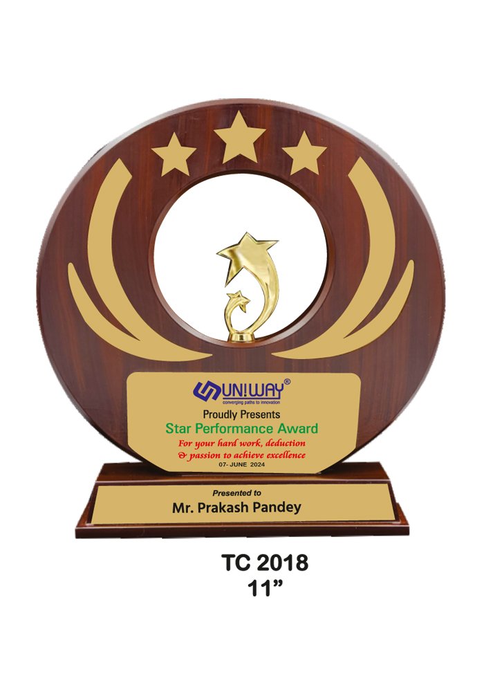 Wooden Trophy Trophy in Delhi