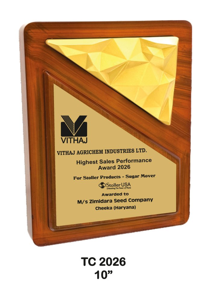 Wooden Trophy Trophy in Delhi