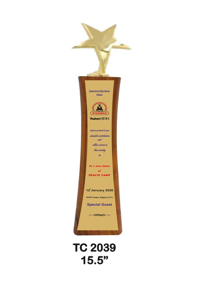 Wooden Trophy Trophy in Delhi