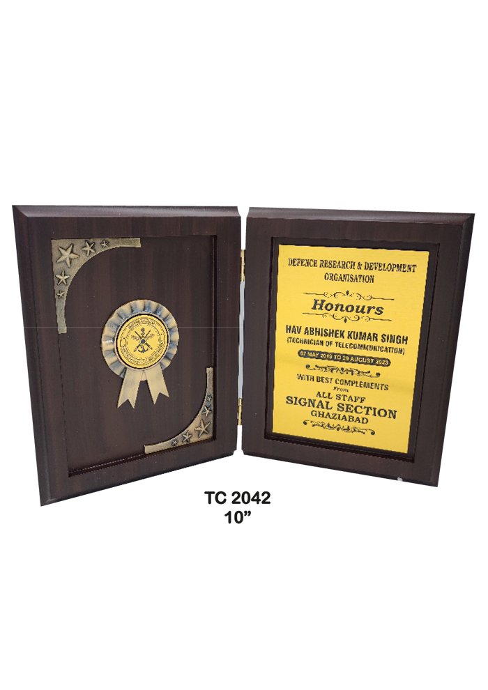 Wooden Trophy Trophy in Delhi