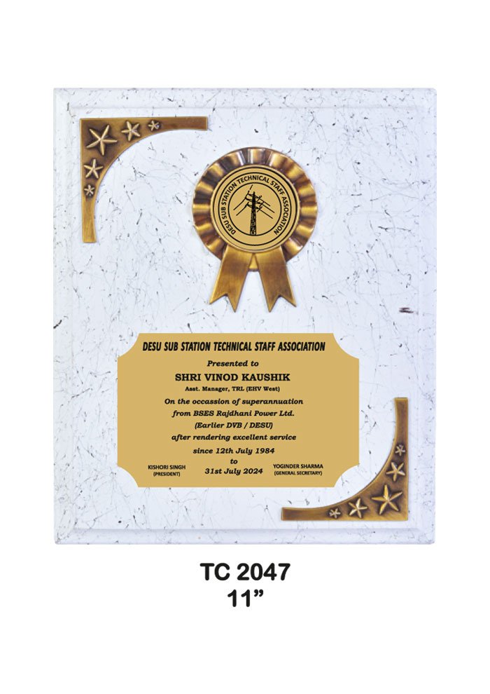 Wooden Trophy Trophy in Delhi