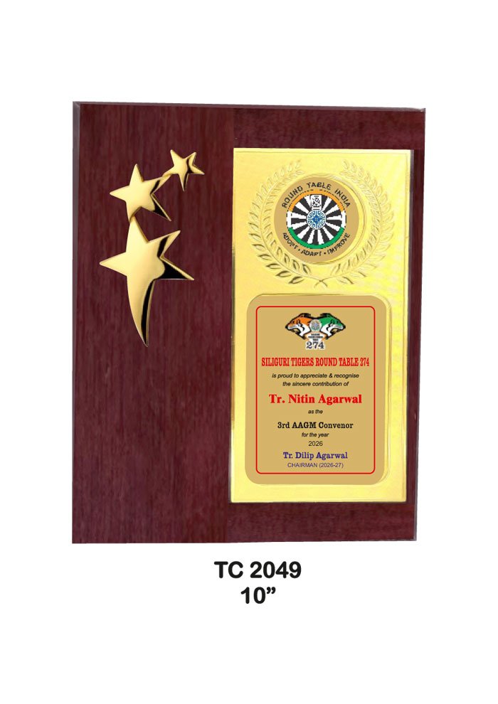 Wooden Trophy Trophy in Delhi