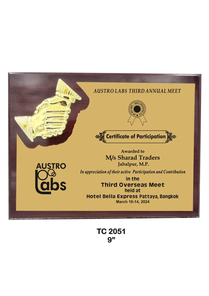 Wooden Trophy Trophy in Delhi