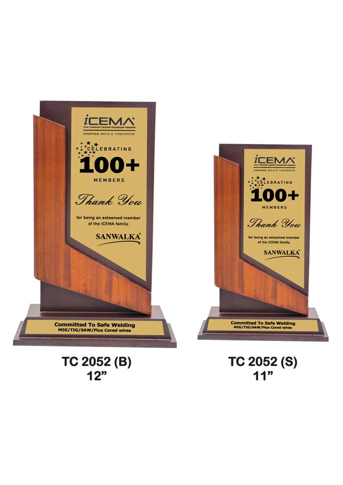 Wooden Trophy Trophy in Delhi