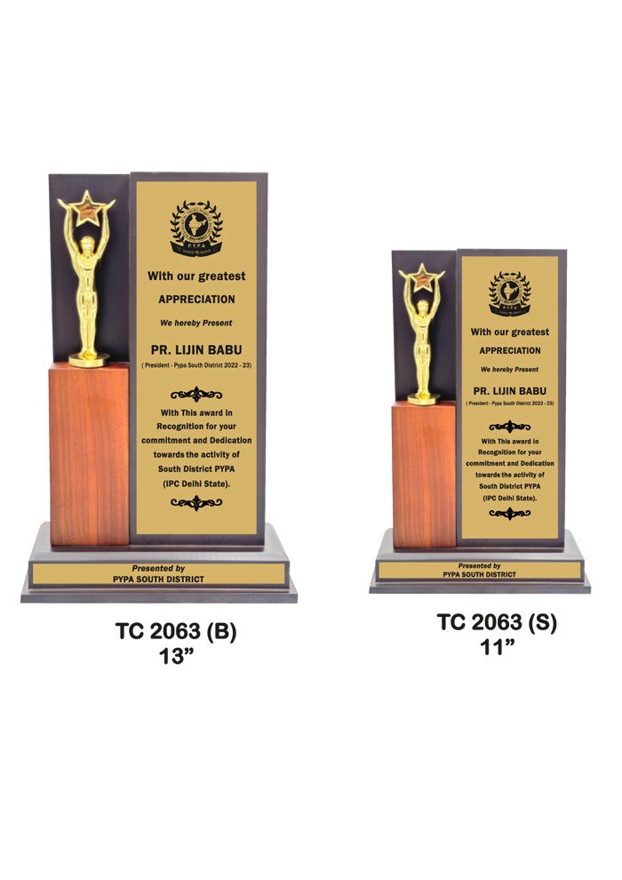 Wooden Trophy Trophy in Delhi