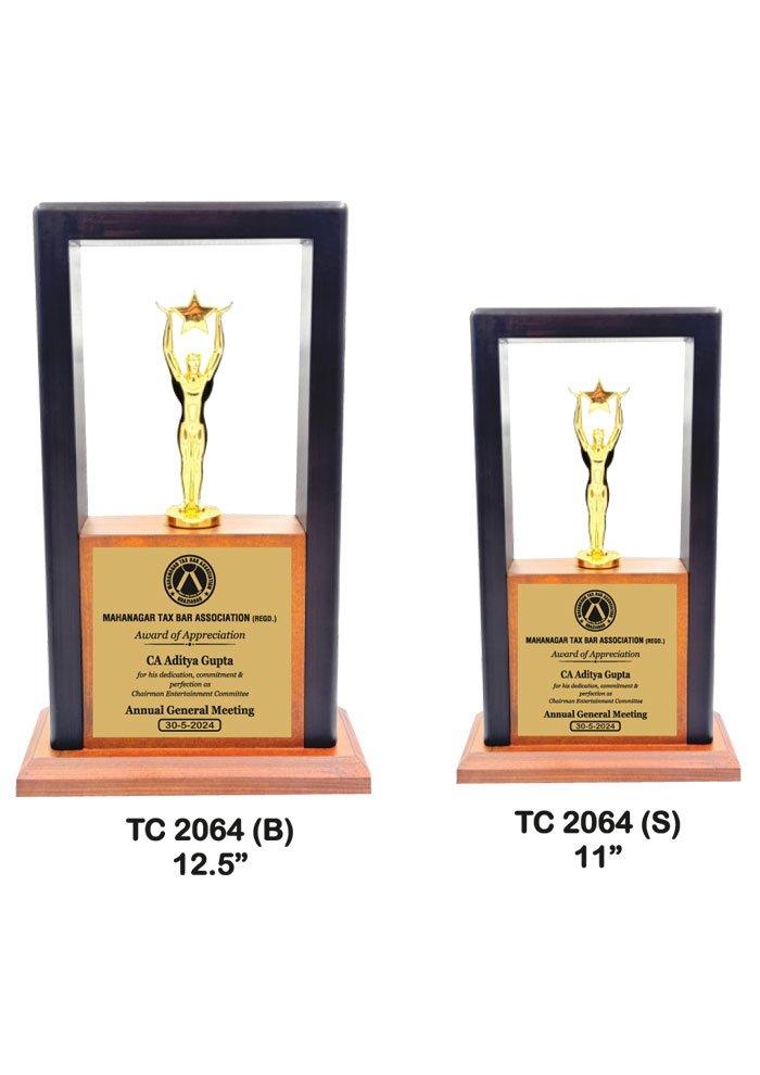 Wooden Trophy Trophy in Delhi