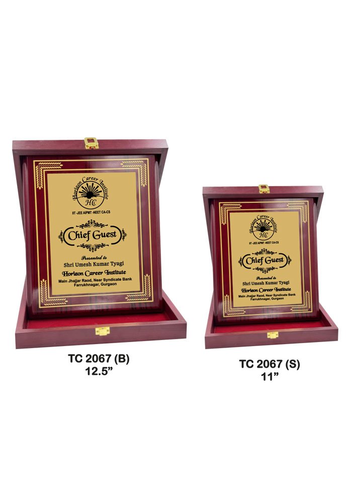 Wooden Trophy Trophy in Delhi