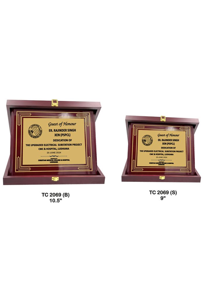 Wooden Trophy Trophy in Delhi