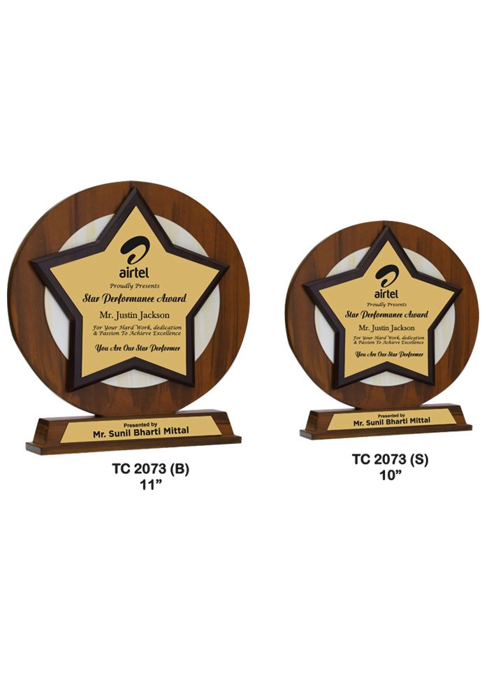 Wooden Trophy Trophy in Delhi