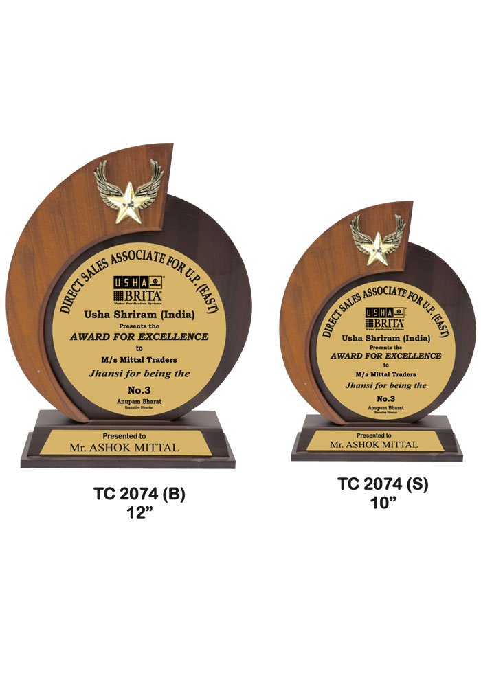 Wooden Trophy Trophy in Delhi