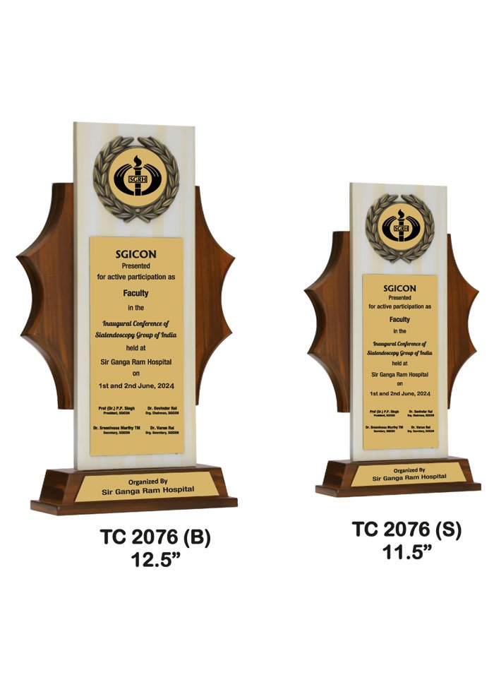 Wooden Trophy Trophy in Delhi