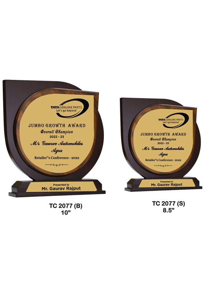 Wooden Trophy Trophy in Delhi