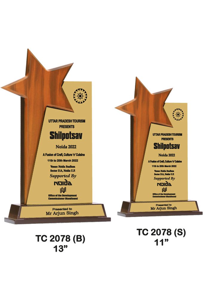Wooden Trophy Trophy in Delhi