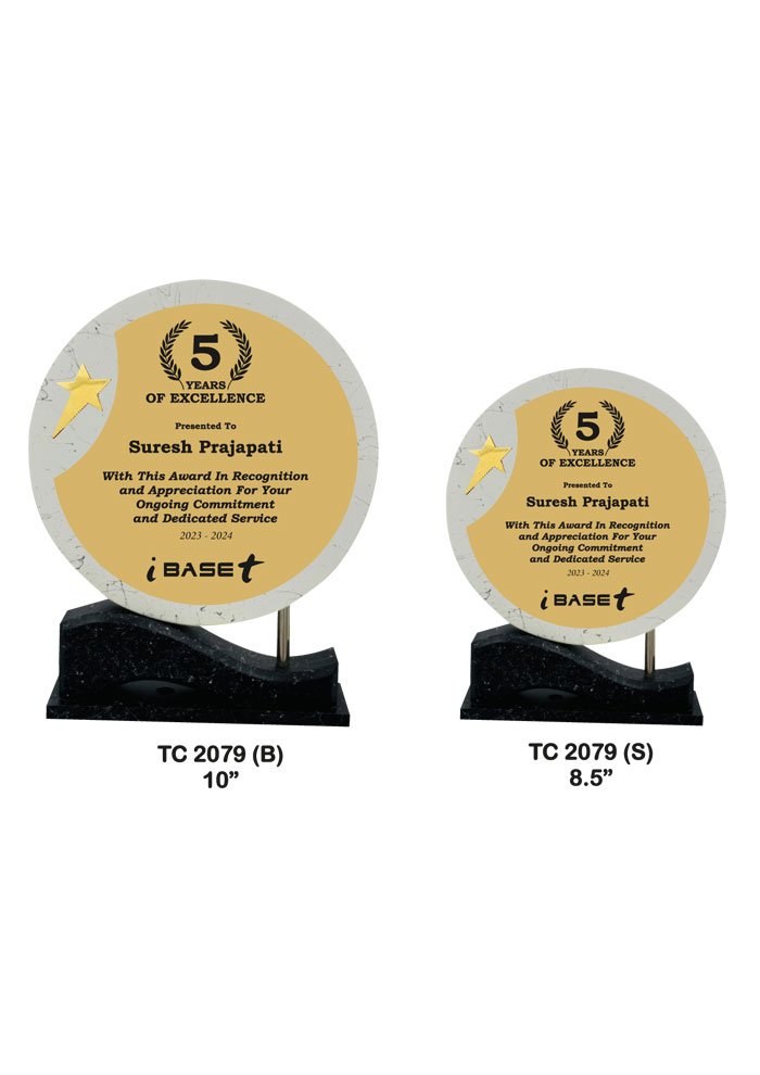 Wooden Trophy Trophy in Delhi