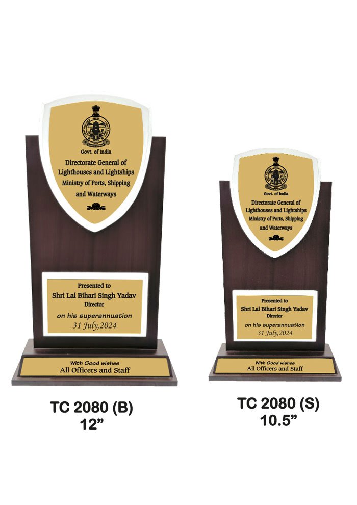 Wooden Trophy Trophy in Delhi