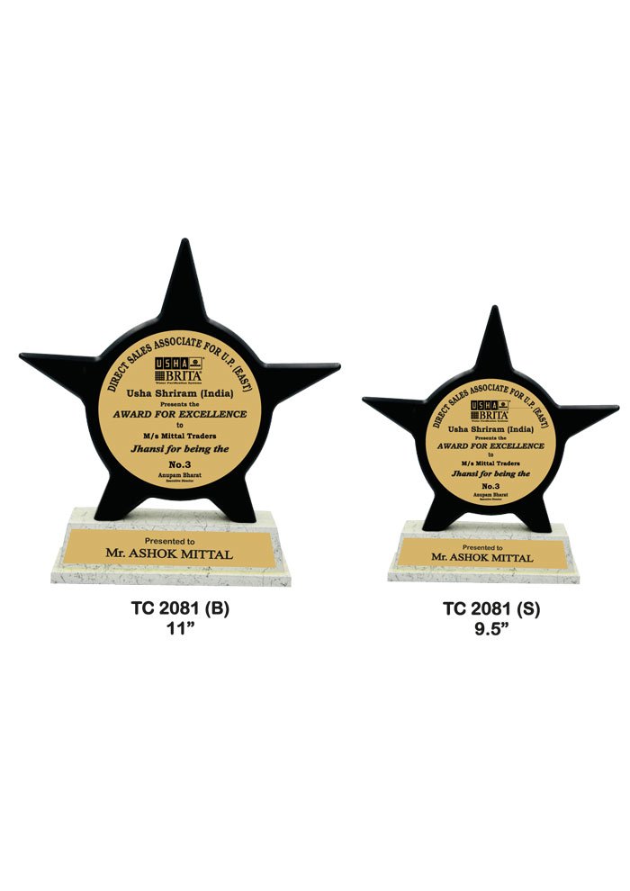 Customized medals Manufacturer in Delhi
