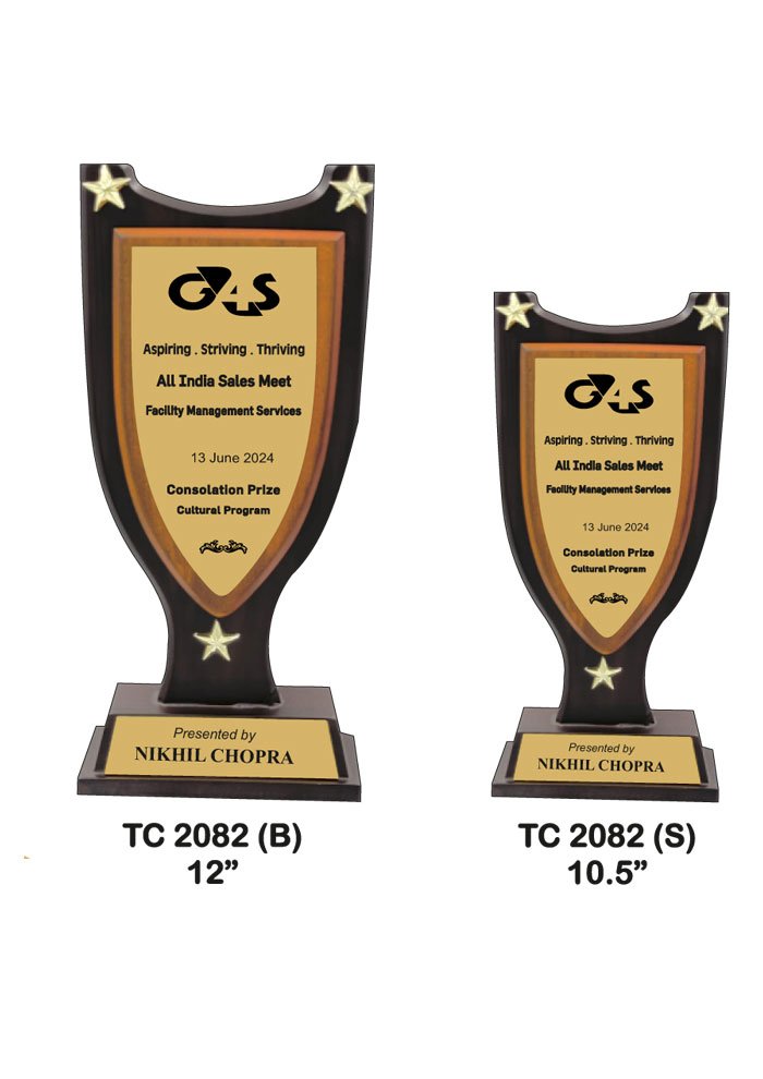 Wooden Trophy Trophy in Delhi