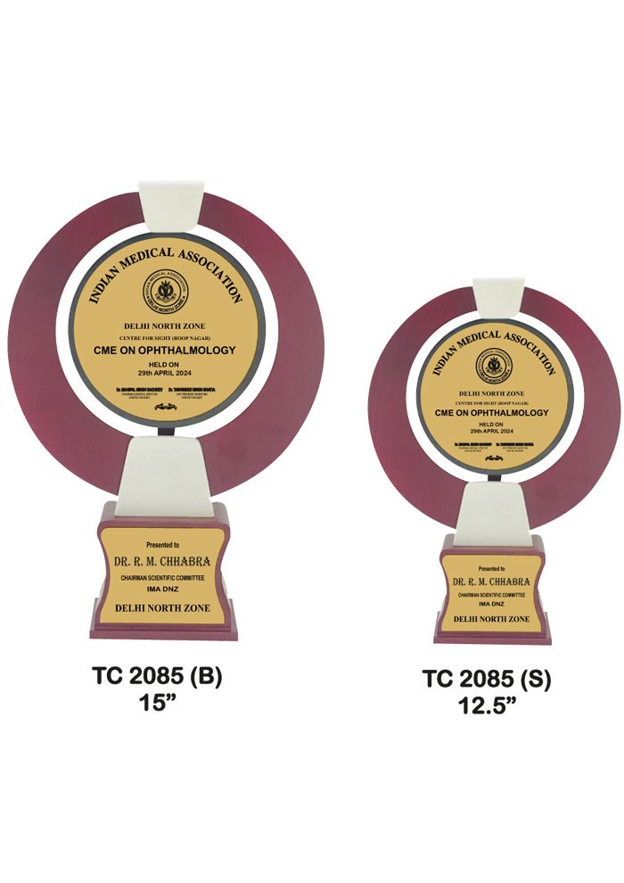 Wooden Trophy Trophy in Delhi
