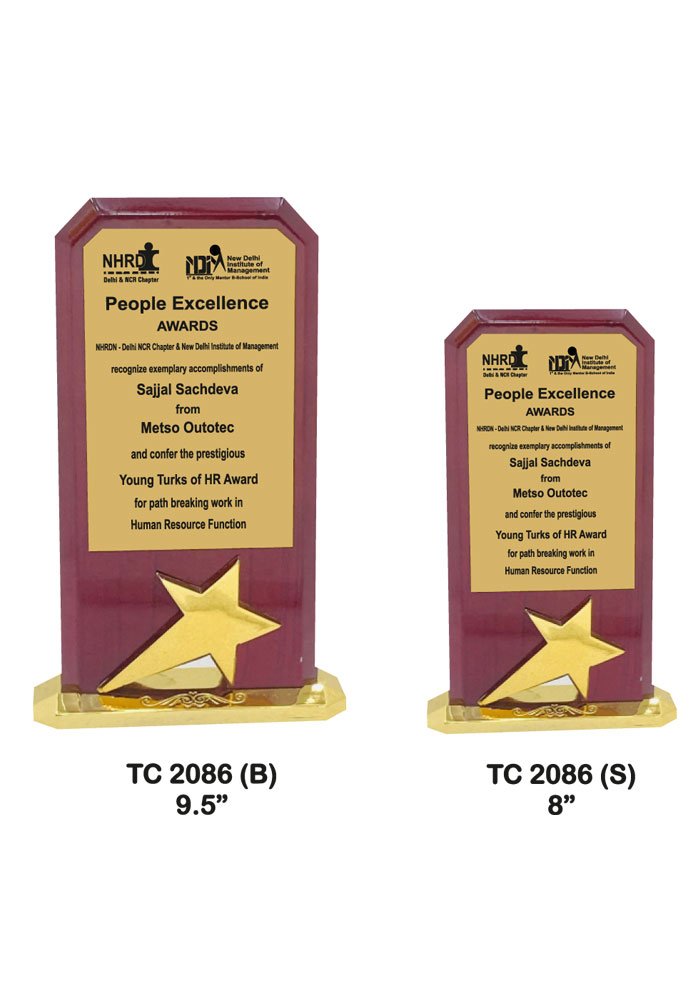 Wooden Trophy Trophy in Delhi