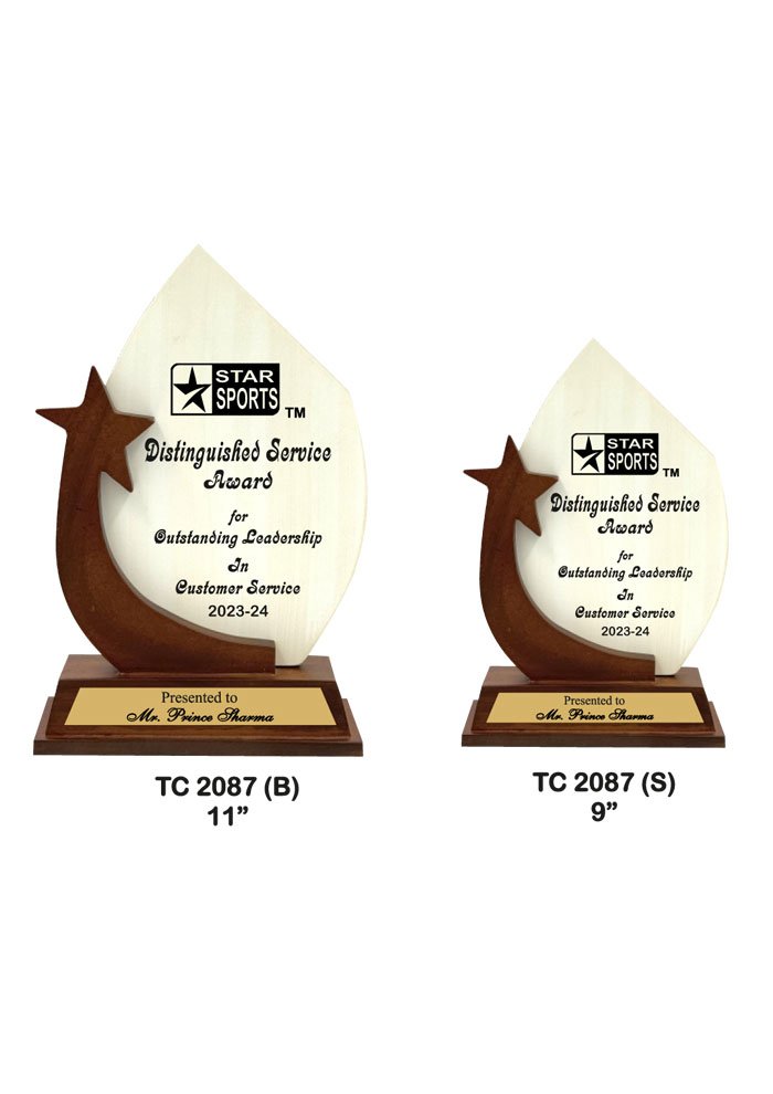 Wooden Trophy Trophy in Delhi