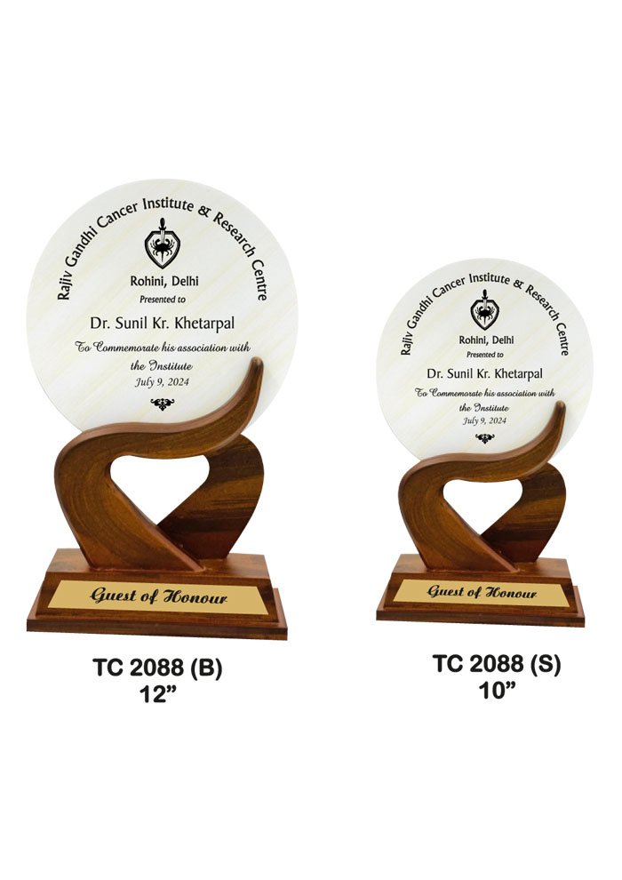 Wooden Trophy Trophy in Delhi
