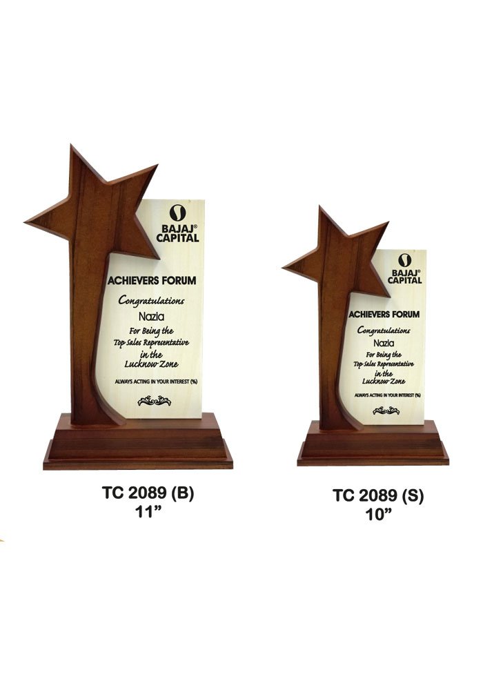 Wooden Trophy Trophy in Delhi
