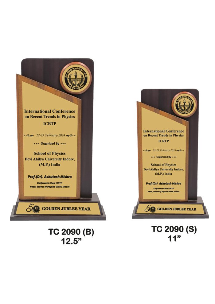 Wooden Trophy Trophy in Delhi