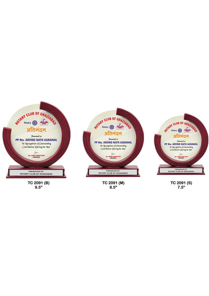 Wooden Trophy Trophy in Delhi