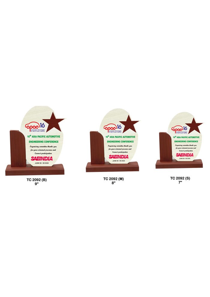 Wooden Trophy Trophy in Delhi